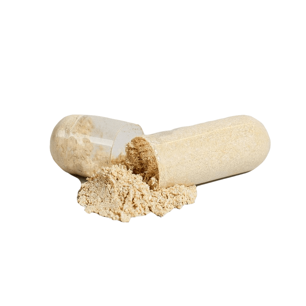 Ashwagandha ⌐◨-◨